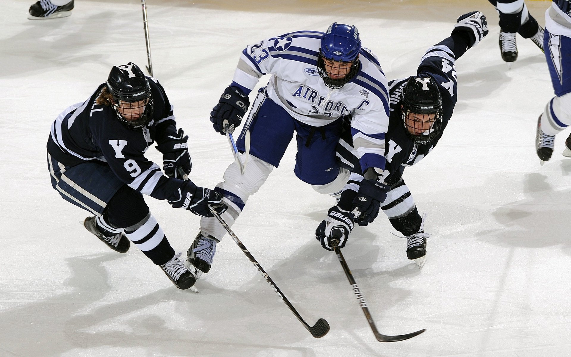 爱游戏ayx-职业足球教练培训班毕业生就业率攀升，足球教练学校